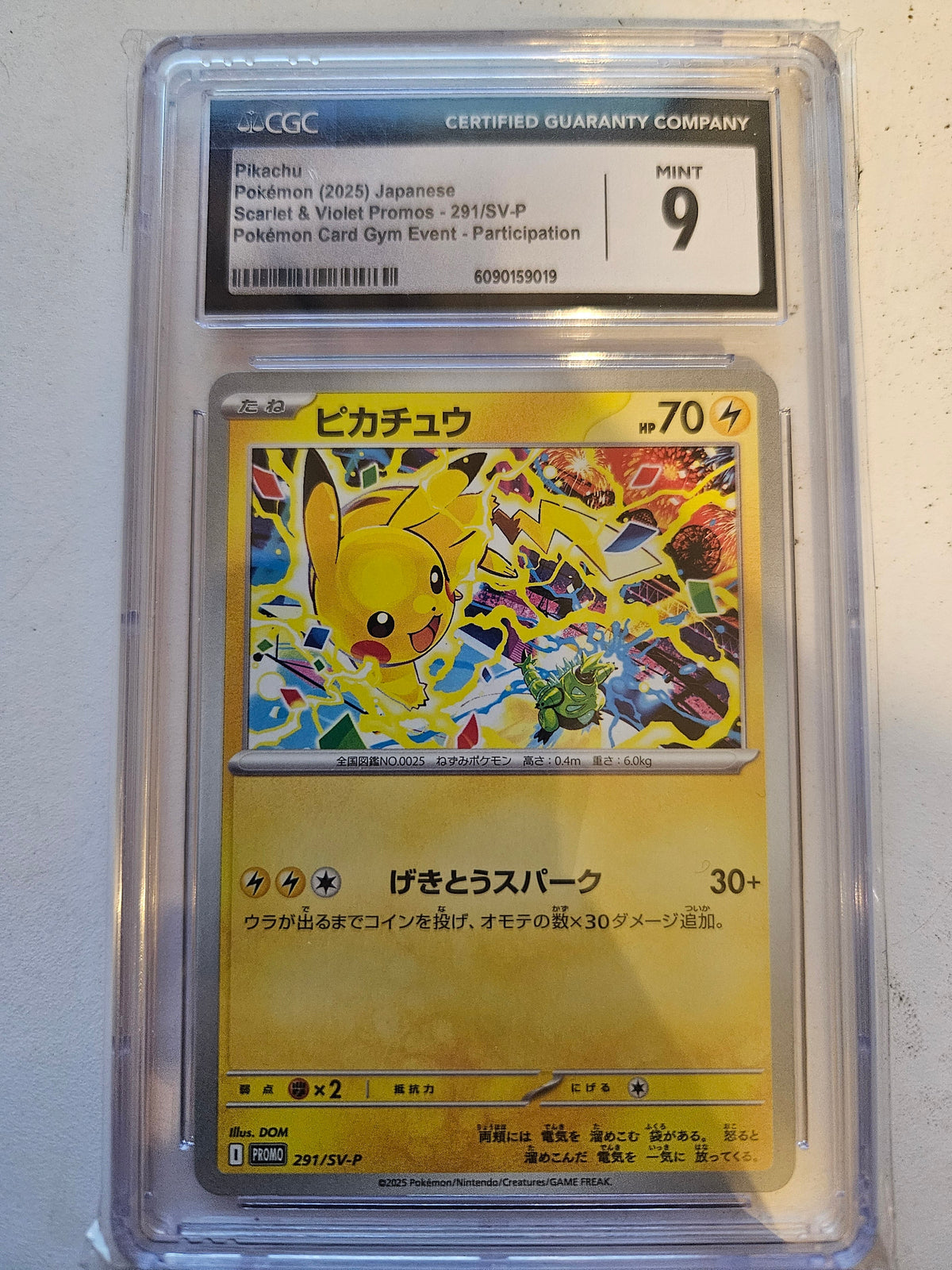 GRADED CARDS